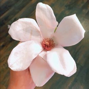 Meet your Posher, Jameson